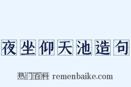 夜坐仰天池造句是什么意思的图片